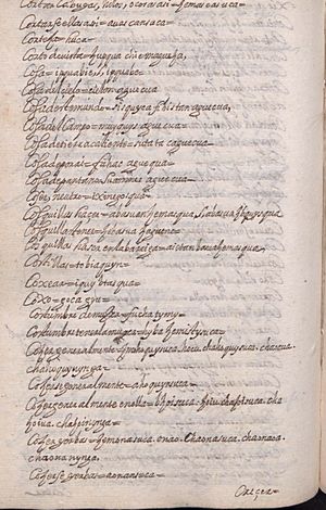 Manuscrito 158 BNC Vocabulario - fol 44v.jpg