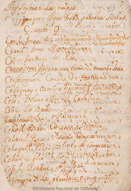 BNC raro manuscrito 122 6r.jpg