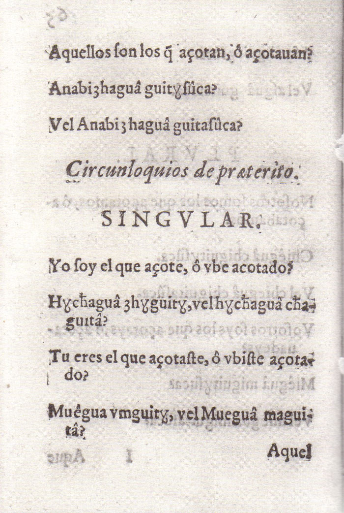 Gramatica Lugo 65v.jpg