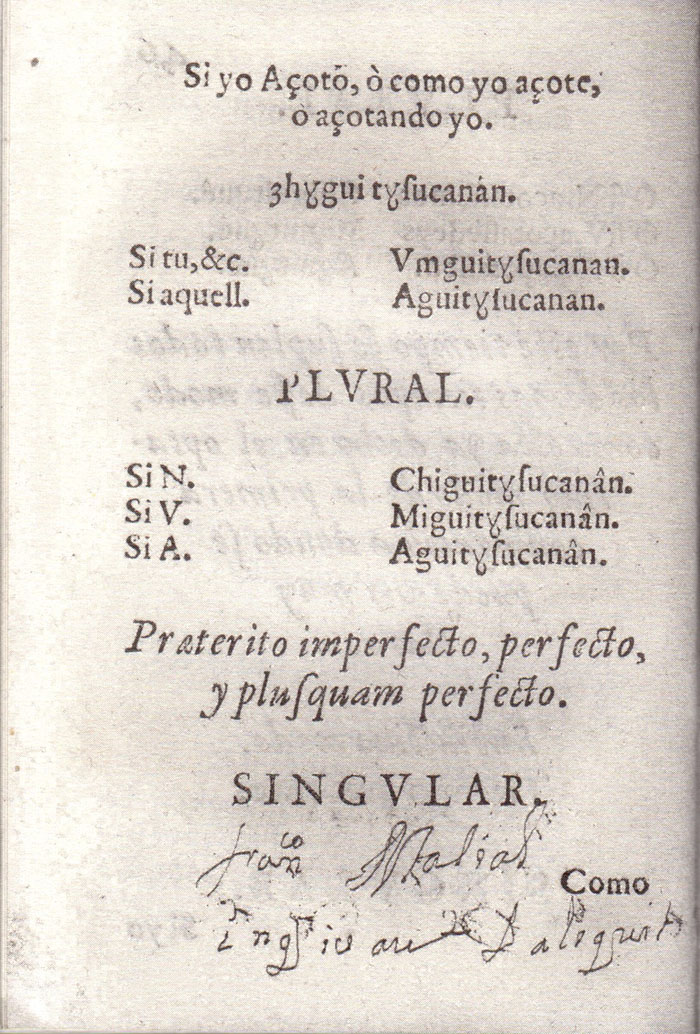 Gramatica Lugo 46v.jpg