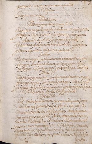 Manuscrito 158 BNC Gramatica - fol 7r.jpg